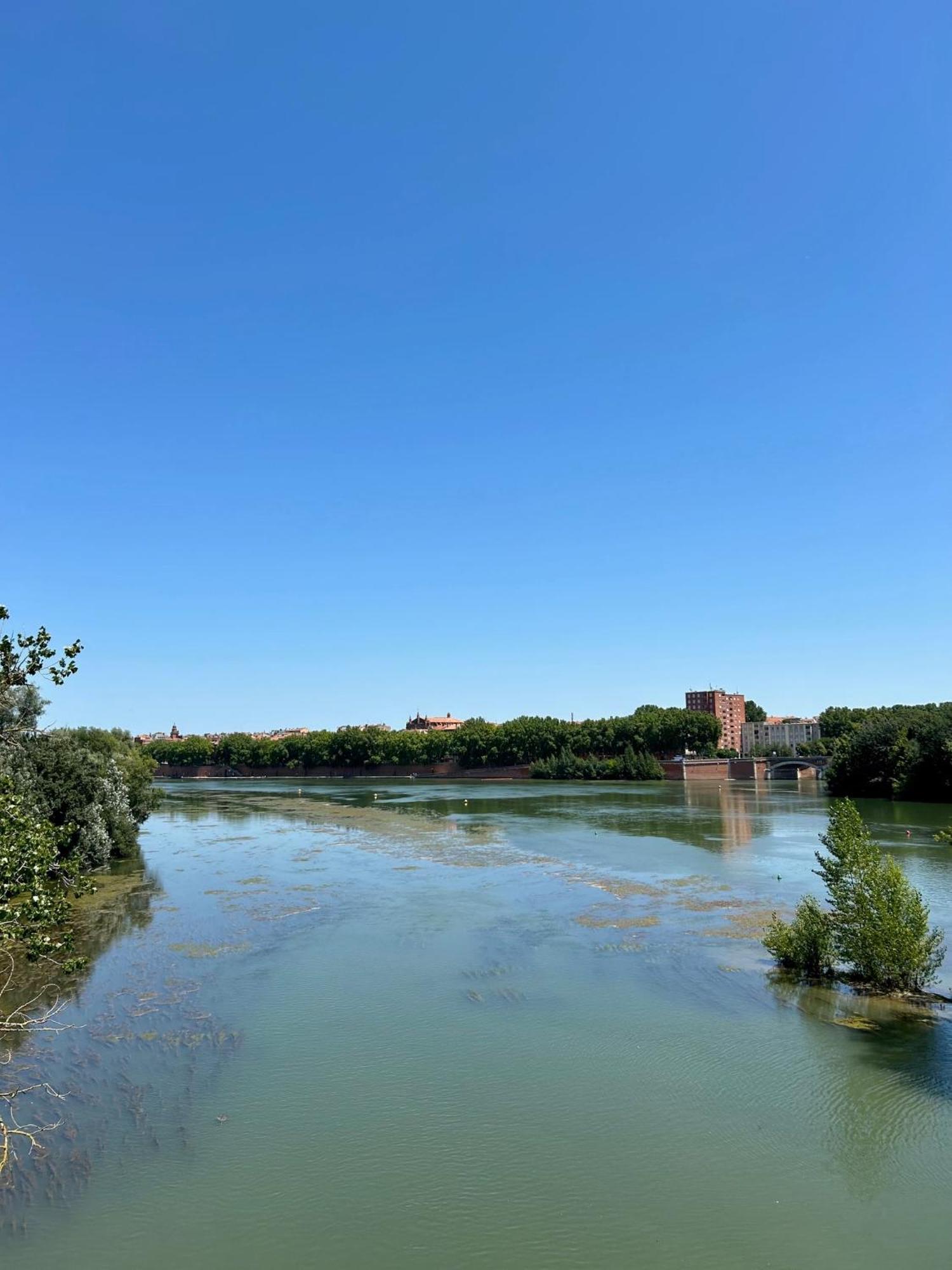 Loft Garonne - Centre Ville Immeuble Privatif Toulouse Ngoại thất bức ảnh