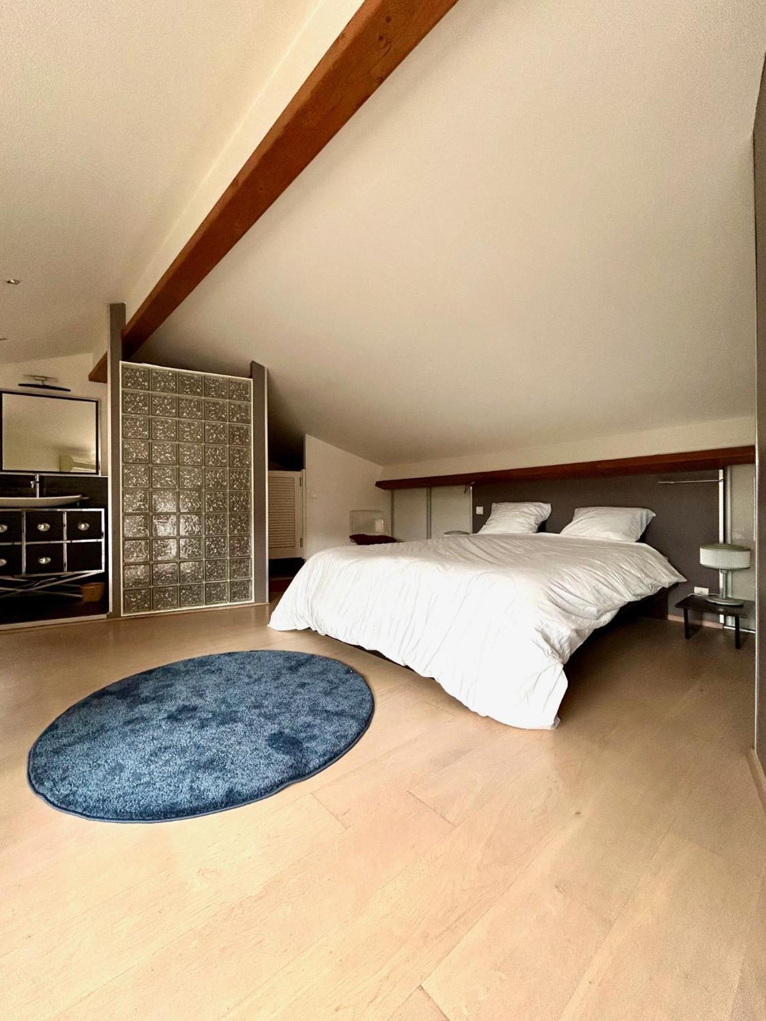 Loft Garonne - Centre Ville Immeuble Privatif Toulouse Ngoại thất bức ảnh