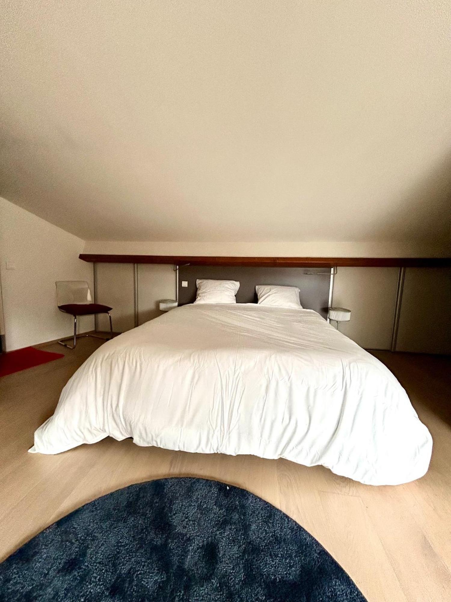 Loft Garonne - Centre Ville Immeuble Privatif Toulouse Ngoại thất bức ảnh
